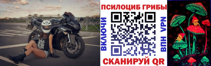 Галлюциногенные грибы Psilocybe  Бикин 